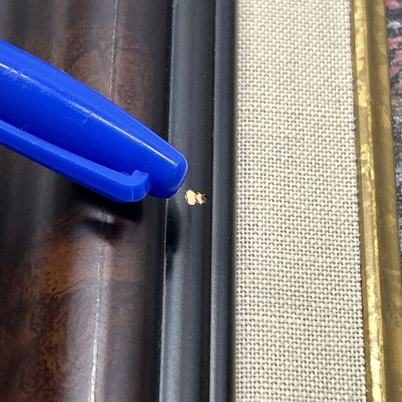 Vtg Thomas Kinkade Sweetheart Cottage 2 Framed Canvas Classics Collection W/ COA - Picture 15 of 15